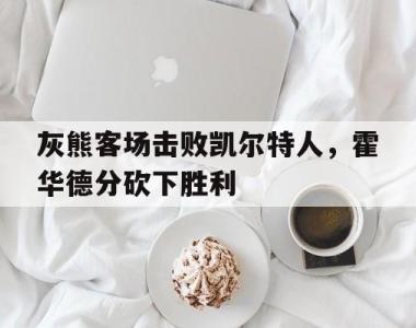 海星体育官方app下载-灰熊客场击败凯尔特人，霍华德分砍下胜利