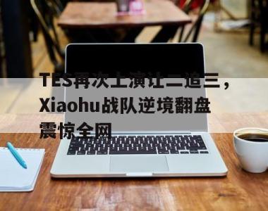 海星体育官方app下载-TES再次上演让二追三，Xiaohu战队逆境翻盘震惊全网
