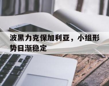 海星体育官方app下载-波黑力克保加利亚，小组形势日渐稳定